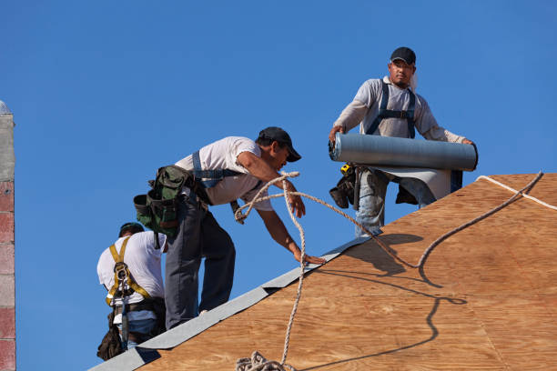 Best Shingle Roofing Installation  in Rio Dell, CA