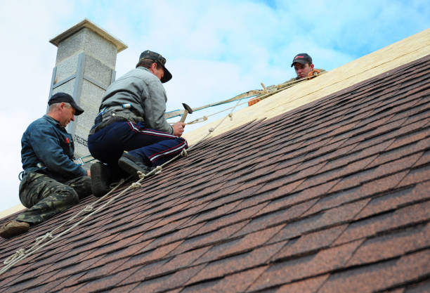 Best Roof Maintenance Services  in Rio Dell, CA